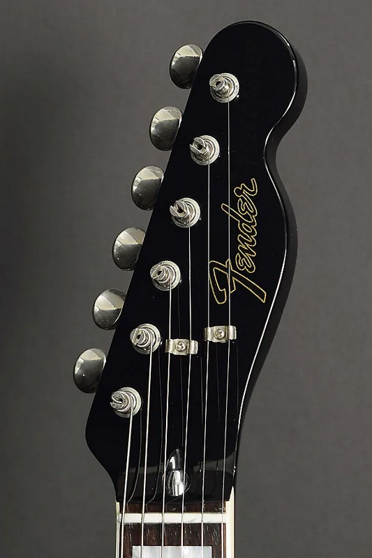 The Telecaster Thinlines The Telecaster Thinlines